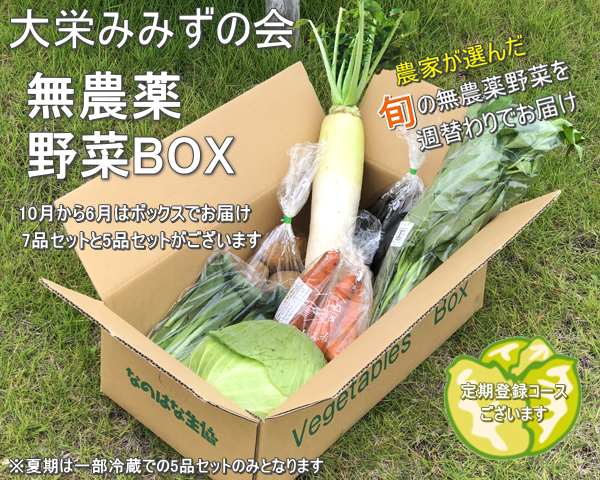 無農薬野菜ボックス